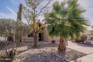 This SINGLE-LEVEL SCOTTSDALE HOME is the perfect low-maintenance on Ancala Country Club in Arizona - for sale on GolfHomes.com, golf home, golf lot