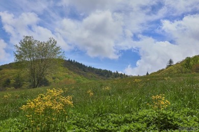 Between two North Carolina mountain ridges lies an expansive on Headwaters Golf Club in North Carolina - for sale on GolfHomes.com, golf home, golf lot