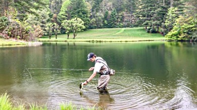 Between two North Carolina mountain ridges lies an expansive on Headwaters Golf Club in North Carolina - for sale on GolfHomes.com, golf home, golf lot