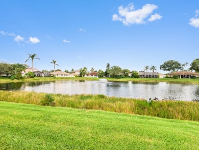 This stunning lakefront home in the highly desirable Elysium on Village Golf Club in Florida - for sale on GolfHomes.com, golf home, golf lot