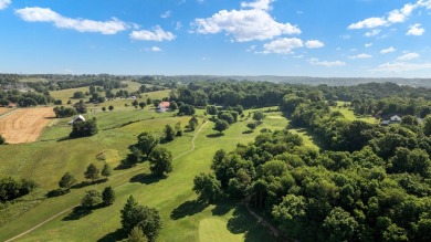 Large Dream Home on 1/2 acre +-, Inground Pool. With close to on Fox Hollow Golf Club in Kentucky - for sale on GolfHomes.com, golf home, golf lot