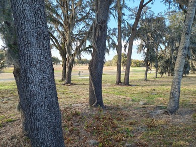 JUST LISTED- AWESOME OPEN FLOOR PLAN, BEST VIEWS TOWARDS GOLF on Southport Springs Golf Club in Florida - for sale on GolfHomes.com, golf home, golf lot