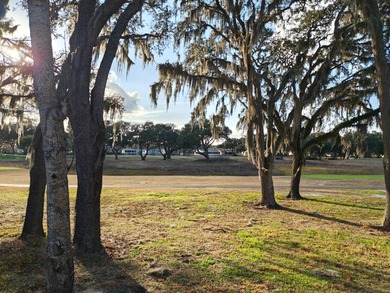 JUST LISTED- AWESOME OPEN FLOOR PLAN, BEST VIEWS TOWARDS GOLF on Southport Springs Golf Club in Florida - for sale on GolfHomes.com, golf home, golf lot