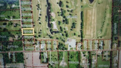 Parcel address is 554 Palms Rd Wales, Mi 48027. This is a great on Leaning Tree Golf Club in Michigan - for sale on GolfHomes.com, golf home, golf lot
