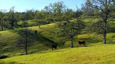 44.2 acres of untapped potential. Bucolic setting near premier on The Golf Club Tierra Oaks in California - for sale on GolfHomes.com, golf home, golf lot