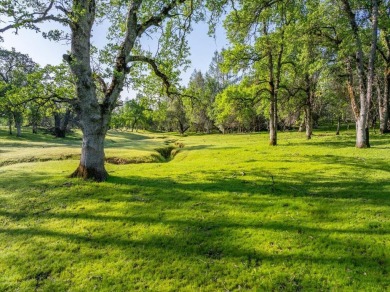 44.2 acres of untapped potential. Bucolic setting near premier on The Golf Club Tierra Oaks in California - for sale on GolfHomes.com, golf home, golf lot