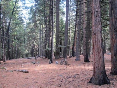 1.30 acre parcel in Lake Almanor West. Nestled in the trees with on Lake Almanor West Golf Course in California - for sale on GolfHomes.com, golf home, golf lot