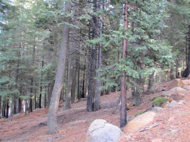 1.30 acre parcel in Lake Almanor West. Nestled in the trees with on Lake Almanor West Golf Course in California - for sale on GolfHomes.com, golf home, golf lot