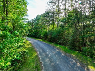 Unrestricted acreage adjacent to Rayburn Resort golf course with on Rayburn Country Club in Texas - for sale on GolfHomes.com, golf home, golf lot