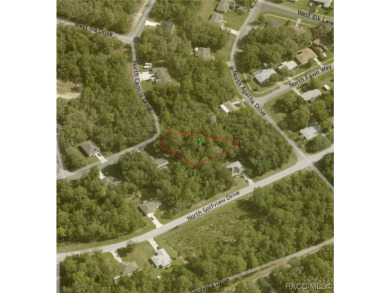 Who doesn't love a nice, oversized wooded lot, almost a half on Citrus Springs Country Club in Florida - for sale on GolfHomes.com, golf home, golf lot