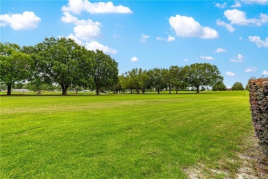 BEST GOLF COURSE VIEW! You have a massive view of the Tortoise on On Top of the World Golf Course in Florida - for sale on GolfHomes.com, golf home, golf lot