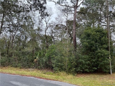 Who doesn't love a nice, oversized wooded lot, almost a half on Citrus Springs Country Club in Florida - for sale on GolfHomes.com, golf home, golf lot