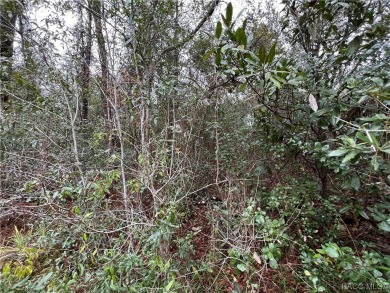 Who doesn't love a nice, oversized wooded lot, almost a half on Citrus Springs Country Club in Florida - for sale on GolfHomes.com, golf home, golf lot