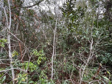 Who doesn't love a nice, oversized wooded lot, almost a half on Citrus Springs Country Club in Florida - for sale on GolfHomes.com, golf home, golf lot