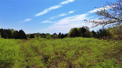 Raw and beautiful 33..02 acres of land for sale a half mile from on Rock Creek Golf Club in Texas - for sale on GolfHomes.com, golf home, golf lot