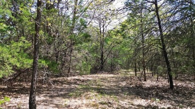 Raw and beautiful 33..02 acres of land for sale a half mile from on Rock Creek Golf Club in Texas - for sale on GolfHomes.com, golf home, golf lot