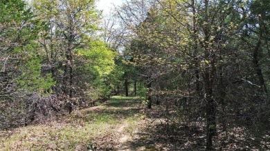 Raw and beautiful 33..02 acres of land for sale a half mile from on Rock Creek Golf Club in Texas - for sale on GolfHomes.com, golf home, golf lot