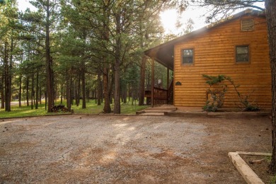 Beautiful getaway in Angel Fire only 1.7 mi from the ski base on Angel Fire Resort Country Club in New Mexico - for sale on GolfHomes.com, golf home, golf lot