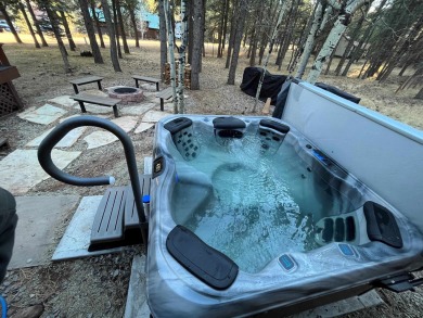 Beautiful getaway in Angel Fire only 1.7 mi from the ski base on Angel Fire Resort Country Club in New Mexico - for sale on GolfHomes.com, golf home, golf lot