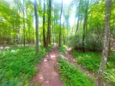 Ready To Build. Level 3 Soil Tests complete. Site Plan and on Big Canoe Golf Club - Cherokee in Georgia - for sale on GolfHomes.com, golf home, golf lot