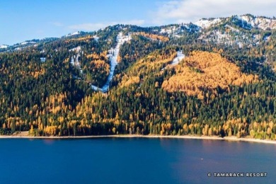 Move-In Ready Mountain Retreat in Prime Tamarack Location! on Osprey Meadows at Tamarack Resort in Idaho - for sale on GolfHomes.com, golf home, golf lot