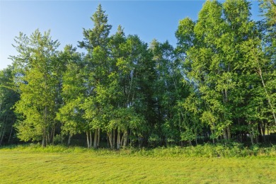 Nestled amongst tall pines overlooking the 6th green of the Golf on Meadow Lake Golf Resort in Montana - for sale on GolfHomes.com, golf home, golf lot