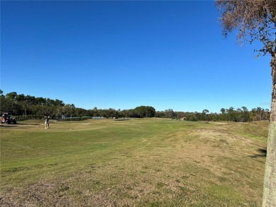 Venetian Bay a premier coastal community! Miles of tree lined on Venetian Bay Golf Course in Florida - for sale on GolfHomes.com, golf home, golf lot