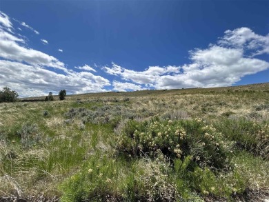 Take in the views from this lot above the Olive Glenn Golf on Olive Glenn Golf and Country Club in Wyoming - for sale on GolfHomes.com, golf home, golf lot