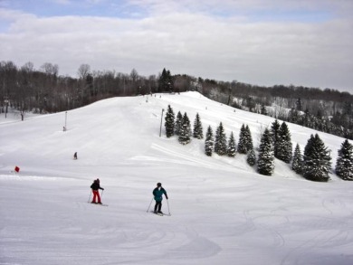 SKI SLOPE FRONT & GOLF FRONT END UNIT CONDO in the heart of the on The Otsego Club/The Tribute in Michigan - for sale on GolfHomes.com, golf home, golf lot