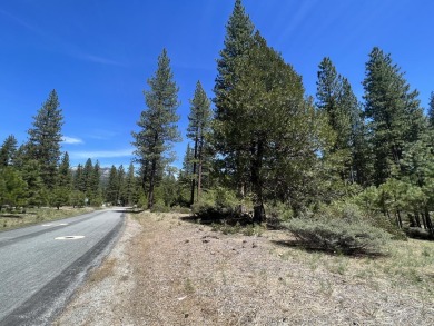 EUREKA, EUREKA! Your new building site for your dream home is on Plumas Pines Golf Resort in California - for sale on GolfHomes.com, golf home, golf lot