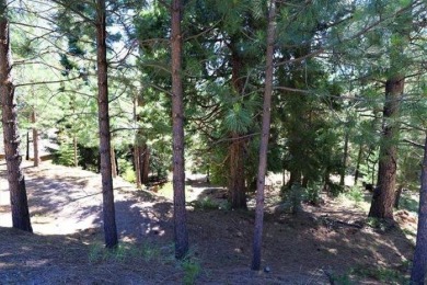 Large, beautiful lot on Osprey Loop in the Westshore on Lake Almanor West Golf Course in California - for sale on GolfHomes.com, golf home, golf lot