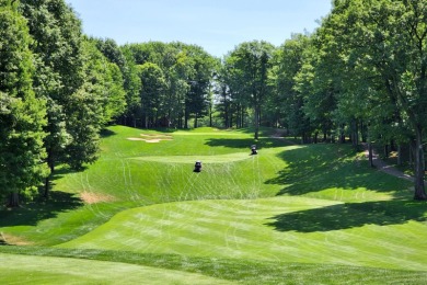 Build the home of your dreams on this large beautiful walk-out on St. Ives Golf Club in Michigan - for sale on GolfHomes.com, golf home, golf lot