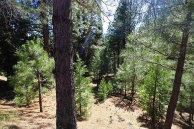 Large, beautiful lot on Osprey Loop in the Westshore on Lake Almanor West Golf Course in California - for sale on GolfHomes.com, golf home, golf lot