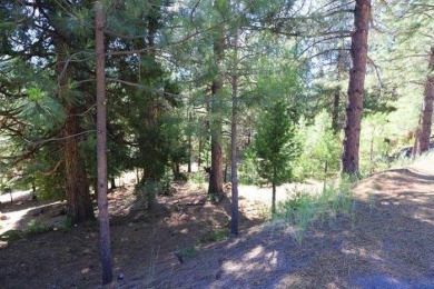 Large, beautiful lot on Osprey Loop in the Westshore on Lake Almanor West Golf Course in California - for sale on GolfHomes.com, golf home, golf lot