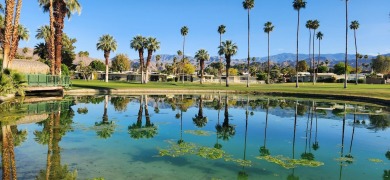 Mid-Century Modern Vibes in South Palm Desert! This true on Shadow Mountain Golf Club in California - for sale on GolfHomes.com, golf home, golf lot