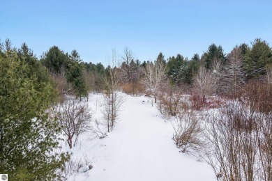 This is am unbelievable piece of property.  The portion by on The Chief Golf Course in Michigan - for sale on GolfHomes.com, golf home, golf lot