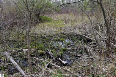 This is am unbelievable piece of property.  The portion by on The Chief Golf Course in Michigan - for sale on GolfHomes.com, golf home, golf lot