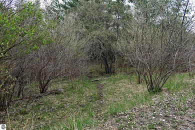 This is am unbelievable piece of property.  The portion by on The Chief Golf Course in Michigan - for sale on GolfHomes.com, golf home, golf lot