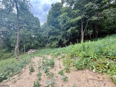OPPORTUNITY KNOCKS - Come BUILD your New Home with Views! Over 1 on Black Bear Golf Course in New Jersey - for sale on GolfHomes.com, golf home, golf lot