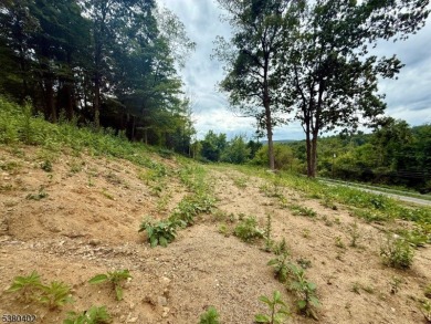 OPPORTUNITY KNOCKS - Come BUILD your New Home with Views! Over 1 on Black Bear Golf Course in New Jersey - for sale on GolfHomes.com, golf home, golf lot