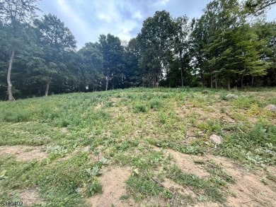 OPPORTUNITY KNOCKS - Come BUILD your New Home with Views! Over 1 on Black Bear Golf Course in New Jersey - for sale on GolfHomes.com, golf home, golf lot
