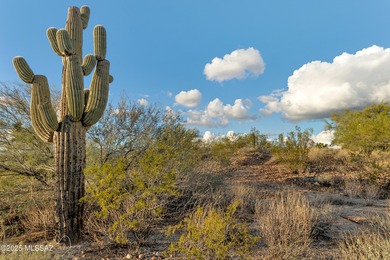 Seller will consider offers between 1.5-2m, depending upon on El Conquistador Country Club - Conquistador in Arizona - for sale on GolfHomes.com, golf home, golf lot