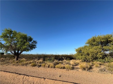 Build your dream business in the heart of Valle Vista! This on Valle Vista Golf Course in Arizona - for sale on GolfHomes.com, golf home, golf lot