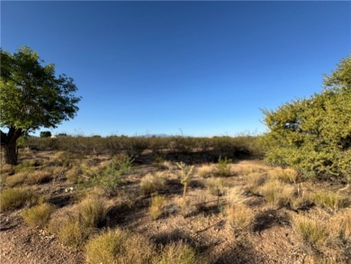 Build your dream business in the heart of Valle Vista! This on Valle Vista Golf Course in Arizona - for sale on GolfHomes.com, golf home, golf lot