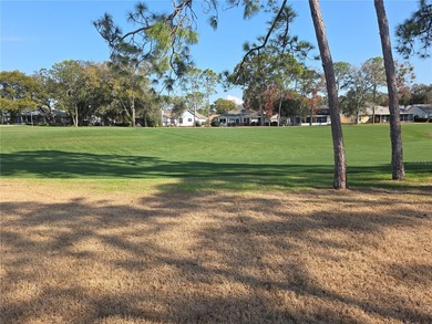 Timber Pines Golf Course Home 2 Bedrooms 2 Full Bathrooms And A on Timber Pines Golf Course in Florida - for sale on GolfHomes.com, golf home, golf lot