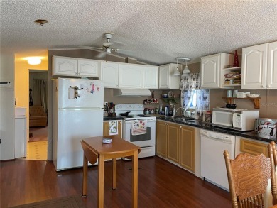 CENTRAL FLORIDA 55+ PLUS GATED COMMUNITY. ...YOU OWN THE LAND on Southern Dunes Golf and Country Club in Florida - for sale on GolfHomes.com, golf home, golf lot