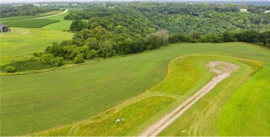 Beautiful Bluff Top Lots-some with water and Mississippi Valley on Coffee Mill Golf and Country Club in Minnesota - for sale on GolfHomes.com, golf home, golf lot