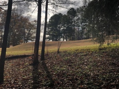 A *rare air* opportunity to change your view! This gorgeous on The Links At Stoney Point in South Carolina - for sale on GolfHomes.com, golf home, golf lot