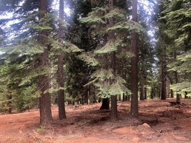 Ultimate Estate Building Site on this 1+ acre homesite nestled on Lake Almanor West Golf Course in California - for sale on GolfHomes.com, golf home, golf lot