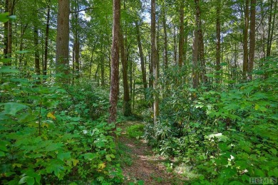 This 0.93+/- acre flat lot is located in the new Chimney Top on High Hampton Inn and Country Club in North Carolina - for sale on GolfHomes.com, golf home, golf lot